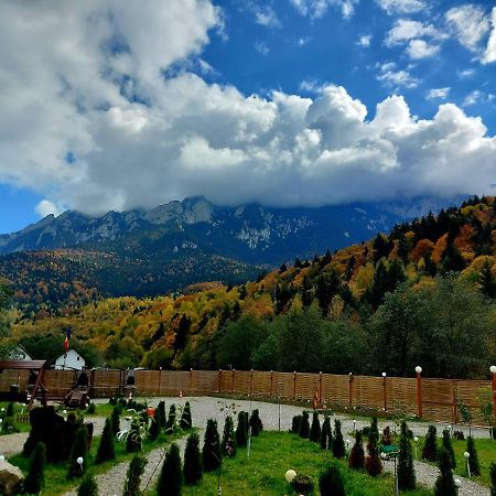 Aroa Mountain Villa Zarnesti Exterior photo