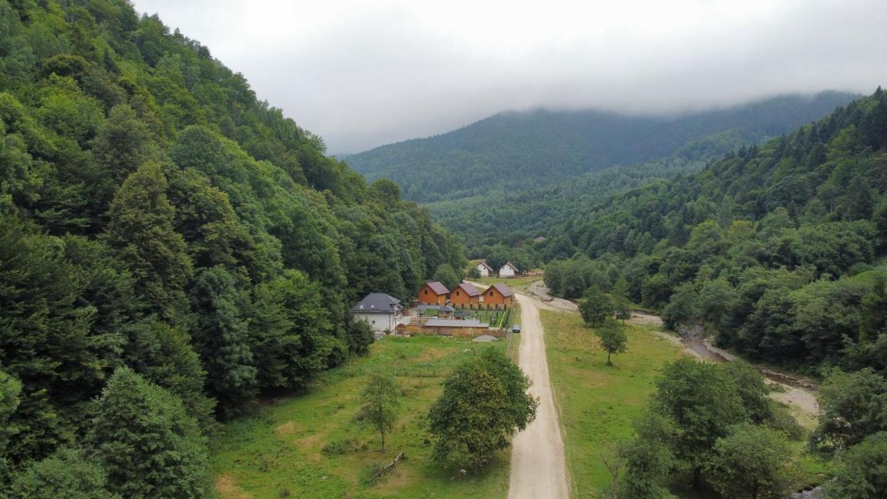 Aroa Mountain Villa Zarnesti Exterior photo