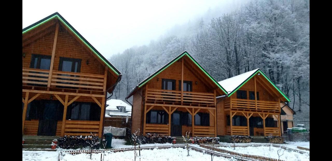 Aroa Mountain Villa Zarnesti Exterior photo